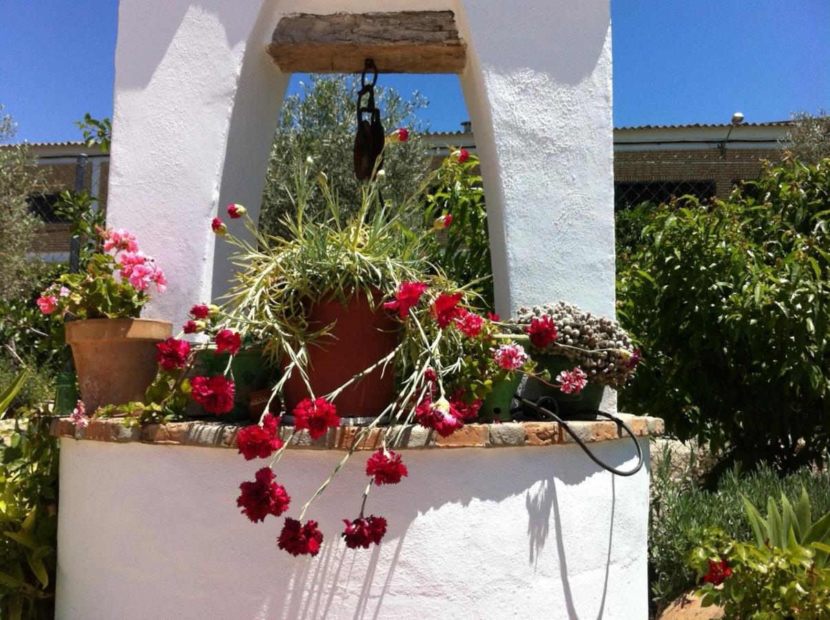 Hotel El Molino Osuna Extérieur photo